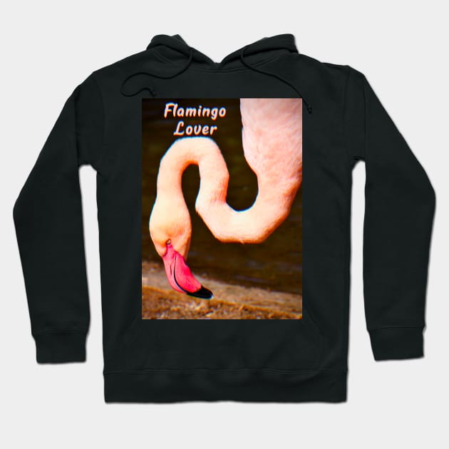 Flamingo Lover Hoodie by ak3shay